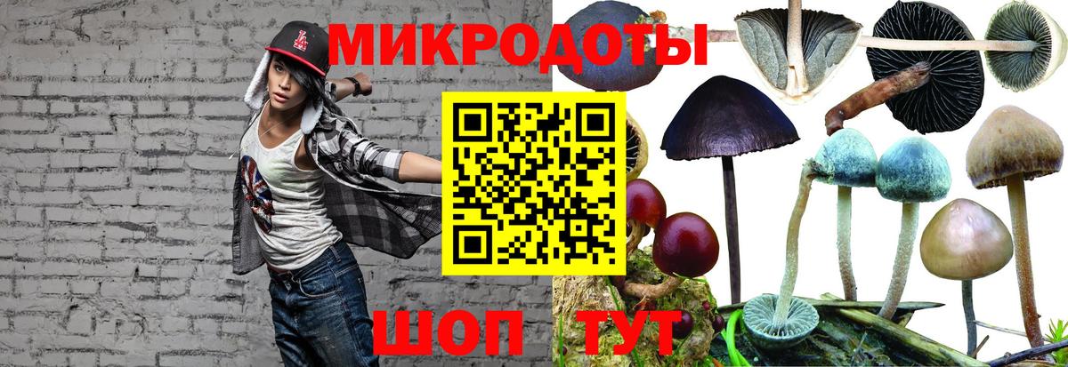 Галлюциногенные грибы Cubensis  Вход с VPN  Тимашёвск  Галлюциногенные грибы GOLDEN TEACHER 