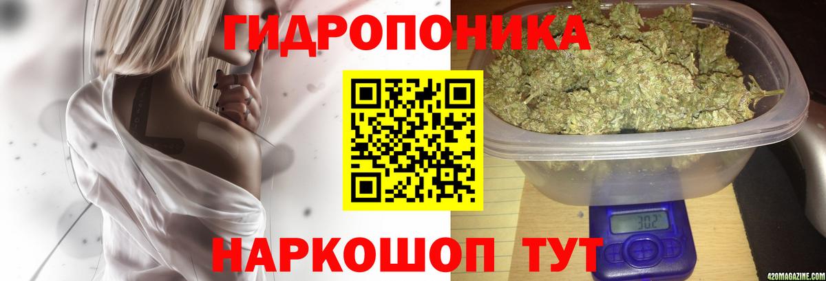 Бошки марихуана Bruce Banner Тимашёвск